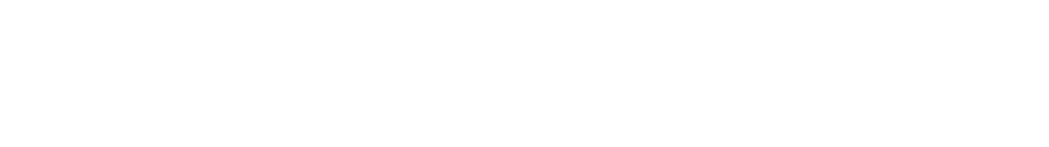 AgamiSoft LTD